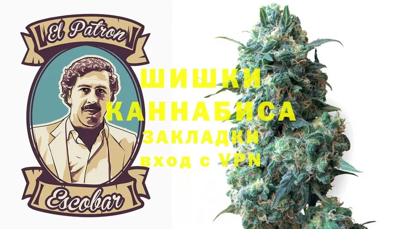 где купить   мориарти телеграм  Шишки марихуана SATIVA & INDICA  Белозерск 